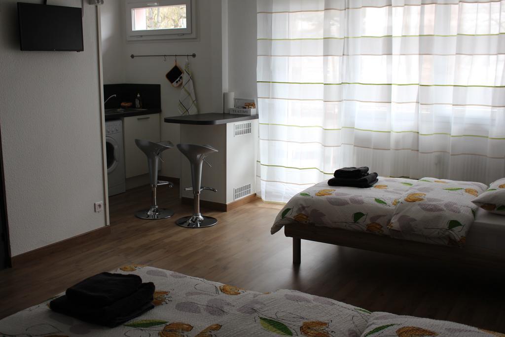 Studios Near Basel Airport แซ็ง-ลุยส์ ภายนอก รูปภาพ
