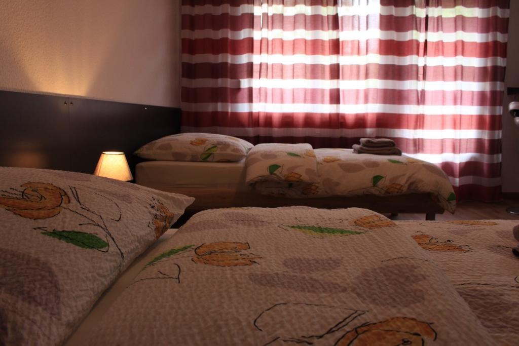 Studios Near Basel Airport แซ็ง-ลุยส์ ภายนอก รูปภาพ