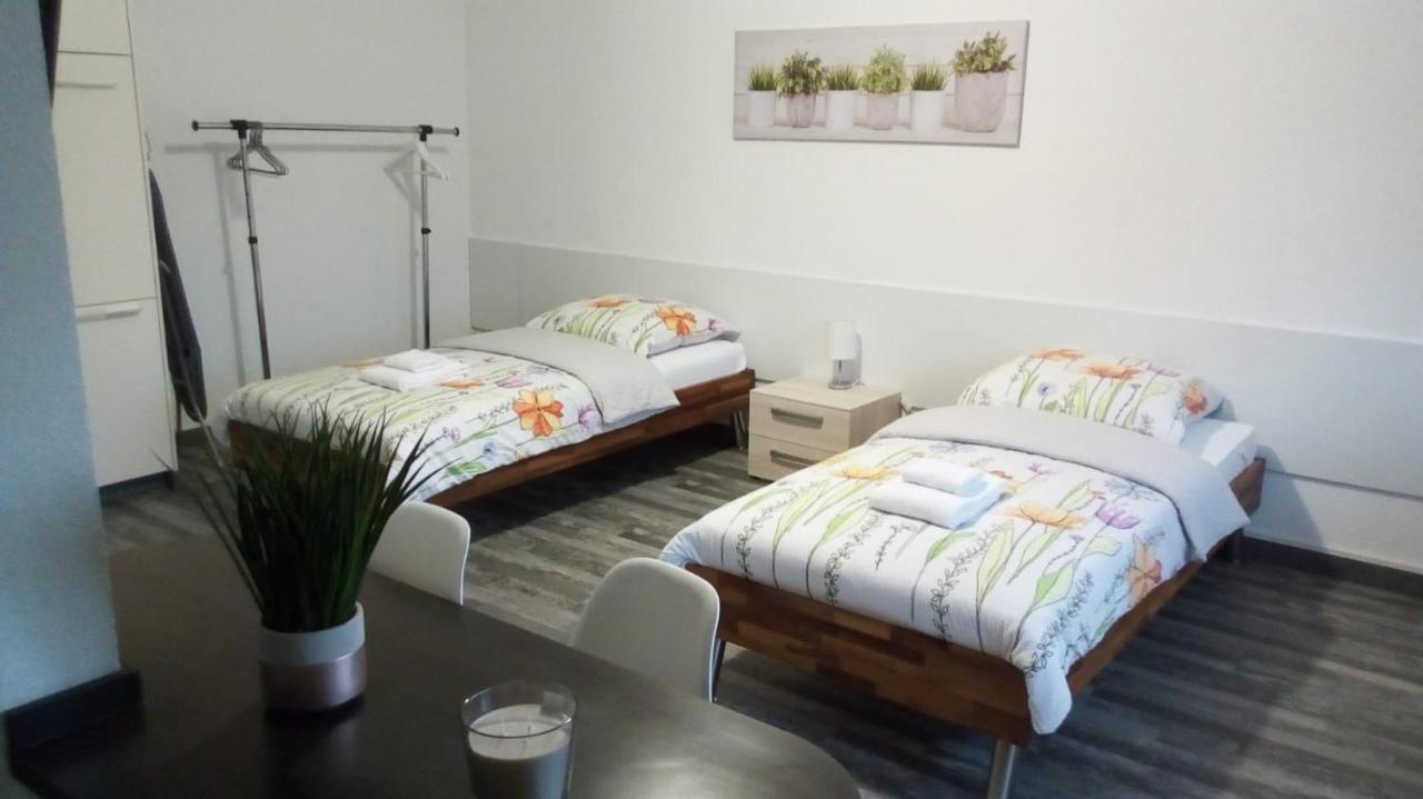 Studios Near Basel Airport แซ็ง-ลุยส์ ภายนอก รูปภาพ