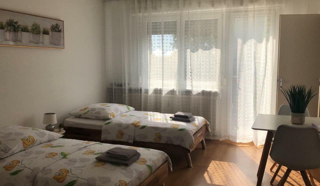 Studios Near Basel Airport แซ็ง-ลุยส์ ภายนอก รูปภาพ
